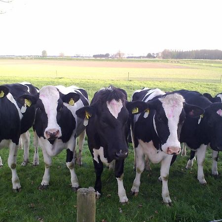 B&B Boerderij Wijtvliet Langeweg Exteriér fotografie
