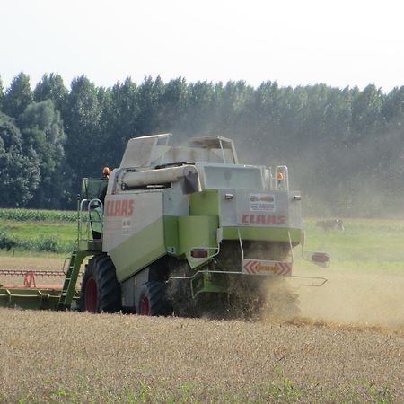 B&B Boerderij Wijtvliet Langeweg Exteriér fotografie