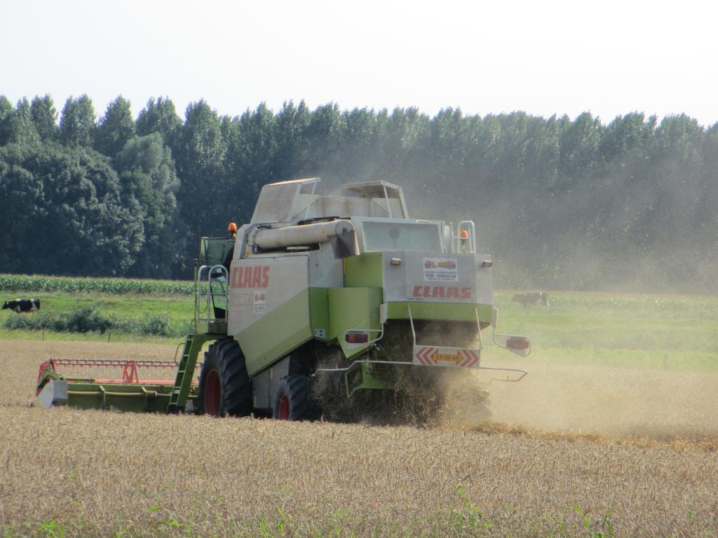 B&B Boerderij Wijtvliet Langeweg Exteriér fotografie